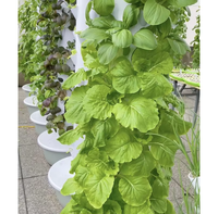 Tour de culture hydroponique verticale avec éclairage pour légumes-feuilles et herbes