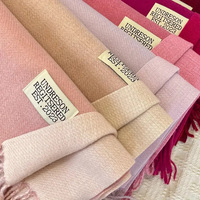 Écharpe en cachemire épaisse et chaude pour l'hiver, 330g, 65*180cm, châle en pashmina uni double face pour femmes musulmanes et couples