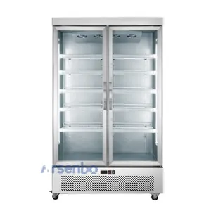 Arsenbo Commercial Use Stainless Steel Bottom Mounted Upright Display Refrigerator with Double Glass Door