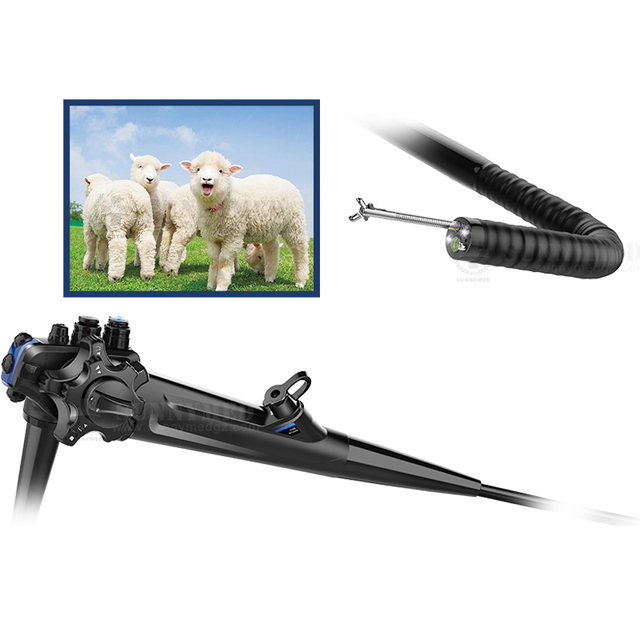 SY-P006-1 VET Hotsale Flexible Endoscopy System CBI Technology Ent Camera Colonoscope Endoscope System