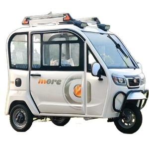 Petit tricycle électrique à batterie GB pour femmes âgées, homologué, entièrement fermé, pour le transport d'enfants, 60V 90km - Product Image 2