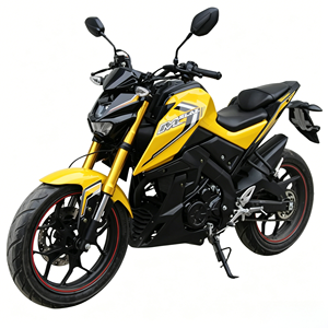 Motocicleta Todoterreno de 250cc, <span class=keywords><strong>Moto</strong></span> Urbana, Motocicleta de Carreras de 250cc, Motocicleta Deportiva con Motor Zonsen de 250cc - Product Image 1