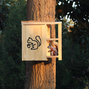 Casa Moderna Personalizable para Ardillas de Madera <span class=keywords><strong>con</strong></span> Porche Exterior Ampliado y Diseño de Animales para Ardillas y Mascotas - Product Image 5