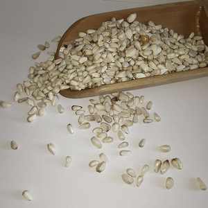 Semi di cartamo/HONG HUA ZI per il prezzo dei semi di uccello - Product Image 4