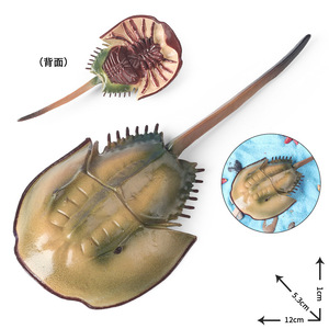 Modèle de <span class=keywords><strong>crabe</strong></span> <span class=keywords><strong>fer</strong></span> <span class=keywords><strong>à</strong></span> <span class=keywords><strong>cheval</strong></span> chinois réaliste pour enfants, jouet animal marin, modèle américain - Product Image 5