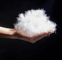 Duvet d'oie gris lavé Standard 70% bon marché