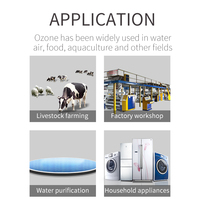 Mini générateur d'ozone 500mg/hr, purificateur d'eau, pompe à air, pour machine à laver, super vente