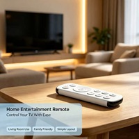 Control Remoto para Aire Acondicionado de 13 Teclas, Personalizado de Fábrica, OEM, ODM, Control Remoto para AC con Logotipo Personalizado, Botones con Carcasa Personalizada