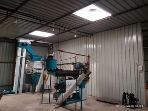 SAMAY EXPELLER Nueva Máquina Automática para Moler Aceite de Maní de 8 Toneladas/Día, 45 HP, 27 X 5, Planta de Procesamiento de Aceite de Alta Eficiencia, Repuestos - Product Image 3