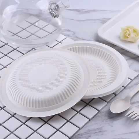 Biodegradable Plates For Kids Enjoy Plastic Disposable Heavy Duty