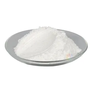 Hot Selling XC8400 Super White Mica Powder 10-100um Sparkle Mica Powder For Paint Soap