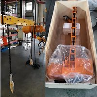 Haute qualité 1 tonne 2 tonnes 3 tonnes usine de palan à chaîne électrique mobile sur rail avec un prix abordable