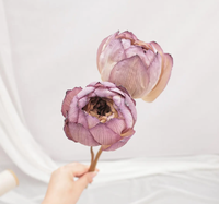 Nouvelles Fleurs de Lotus Stabilisées 2026 Faites à la Main Prix Usine Décoration Mariage et Maison