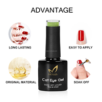 DZ NOUVEAU Gel UV/LED magnétique effet œil de chat Aurora sans HEMA ni TPO, à retirer par trempage, pour salons de manucure ou vente en ligne