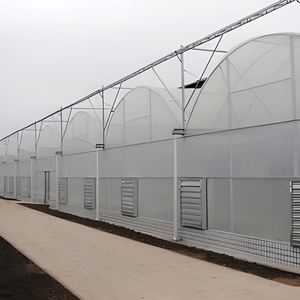 Serre multi-voûtes résistante à la grê<span class=keywords><strong>le</strong></span> avec cadre renforcé, utilisée pour la culture des arbres fruitiers (pommes, poires, cerises) - Product Image 3