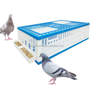 YYB Prix d'Usine <span class=keywords><strong>Cage</strong></span> de Transport pour Oiseaux en Plastique Durable, Portable, pour Pigeons de Course, avec Mangeoire et Abreuvoir - Product Image 1