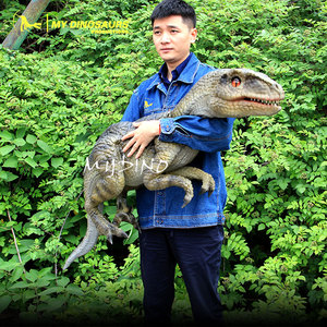 Mi Dinosaurio DP624, Dinosaurio Bebé Velociraptor, Marionetas Animatrónicas, Juguetes - Product Image 4