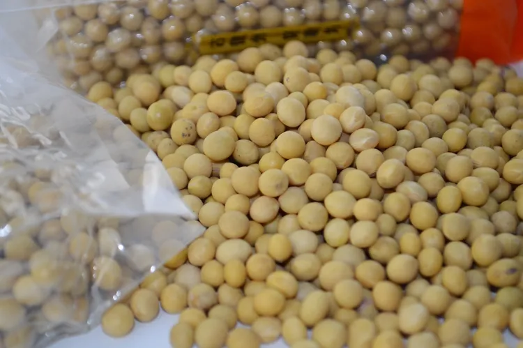 Hochwertige Großhandel Grade Non Gmo Bio Gelbe Sojabohnen Köstliche Sojabohnen