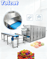 Industriële snoepdroogmachine met grote capaciteit, multifunctioneel, complete lijn voor gummy- en jelly-snoep, met hoogwaardige machine.