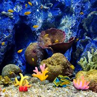 Faux corail plante Aquarium décorations aquarium ornement décor artificiel polyrésine coloré corail récif décoration accessoires