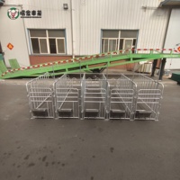 Bâtiments de gestation pour truies, fabricant direct usine, équipement d'élevage porcin en acier galvanisé, vente en gros, export