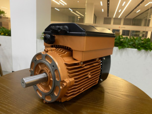 มอเตอร์แม่เหล็กถาวรแบบไม่มีเซนเซอร์ FOC Drive ประสิทธิภาพ IE5 เฟสเดียว สำหรับอุตสาหกรรมสแตนเลสแบบรวม - Product Image 6
