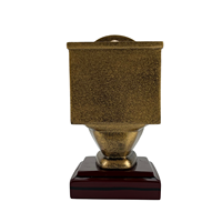 Trophées de football américain en résine de haute qualité, souvenirs sportifs, cadeaux amusants, trophées de perte U STINK Skunk Loser