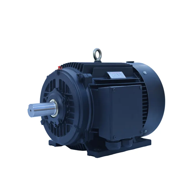 TYP Series Premium Efficiency Permanent Magnetic Variable Frequency 3 Phase AC Induction Motor 150Hz 3000RPM