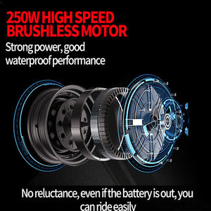 Moteur de moyeu arrière 250W 350W 500W de haute qualité, batterie lithium 36V, vélo électrique urbain pour adulte, fabriqué en UE - Product Image 5
