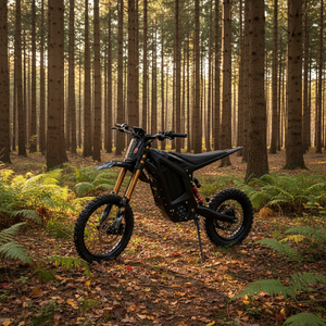 Motocicleta Todoterreno Leopard PRO de Alto Rendimiento, 12kW, 72V, 35Ah, 342Nm, 45mph, Alta Velocidad, para Carreras al Aire Libre, Leopard PRO con 7 Velocidades - Product Image 3