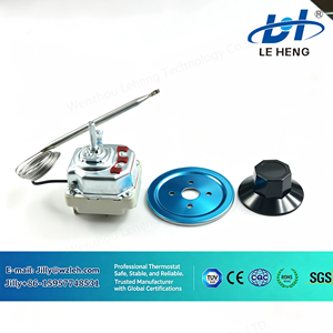 Pièces et accessoires pour appareils électroménagers de grande taille : <span class=keywords><strong>Thermostat</strong></span> capillaire WHD-T avec capillaire de <span class=keywords><strong>200</strong></span>-3000 mm pour radiateur et cuisinière thermique - Product Image 3