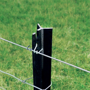 Picchetto a stella in acciaio zincato resistente per 2.04 kg/m Australia Standard - Product Image 4