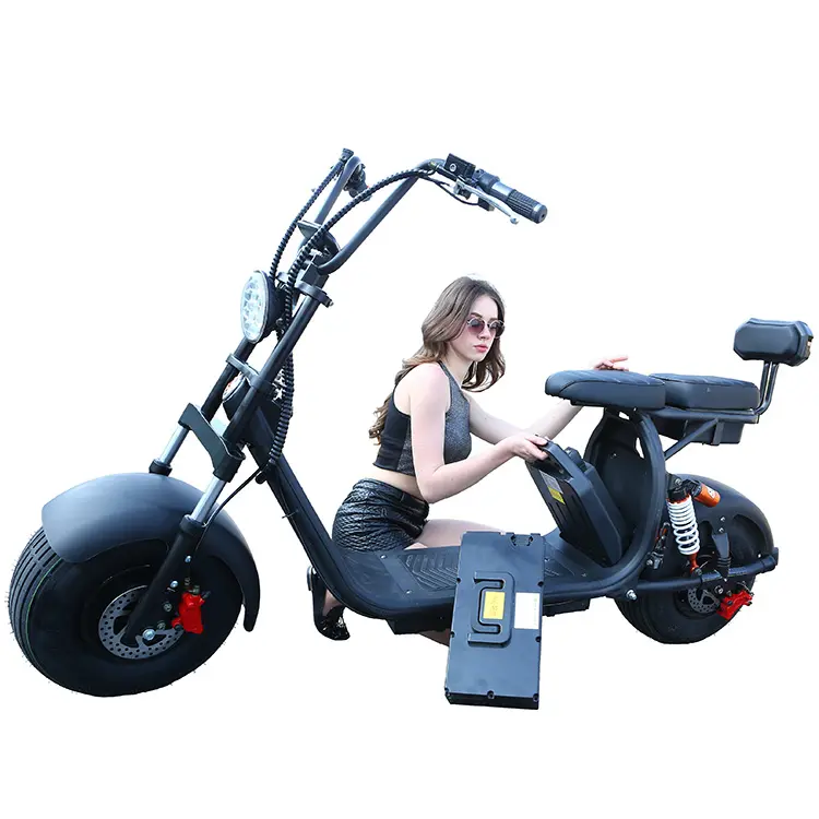 Ce Goedgekeurd En 60V 1500W Power Citycoco Scootmobiel