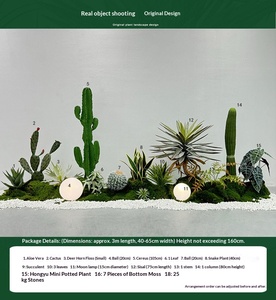 Plantas Verdes <span class=keywords><strong>de</strong></span> Simulación Nórdica para Interiores: Cactus Tropical, Sisal, Areca, <span class=keywords><strong>Palmera</strong></span>, <span class=keywords><strong>Cola</strong></span> <span class=keywords><strong>de</strong></span> <span class=keywords><strong>Caballo</strong></span>, Plantas en Macetas <span class=keywords><strong>de</strong></span> Hierro - Product Image 6