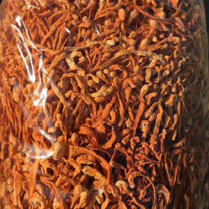 Detan atacado a granel seco <span class=keywords><strong>Cordyceps</strong></span> <span class=keywords><strong>Militaris</strong></span> para venda - Product Image 6