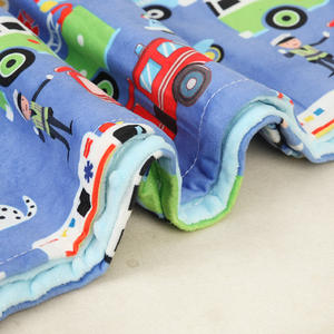 Couverture pour bébé en tissu minky super doux imprimé sur mesure, 30 x 40 pouces, tissage Raschel pour nouveau-nés et tout-petits, hiver - Product Image 5