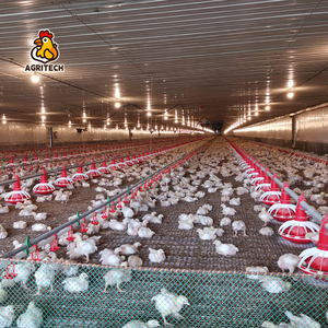 Tự động gia cầm trung chuyển và uống thiết bị gia cầm trang trại gà ăn hệ thống thiết bị - Product Image 6