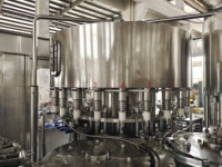Ligne de production complète 4000 BPH pour usine d'eau, machine de purification d'eau, machine de production d'eau minérale 2000 L/heure avec soufflage