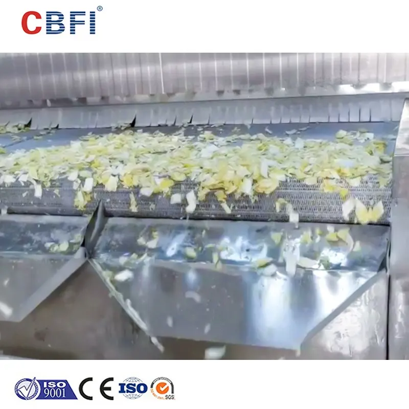 Túnel de congelación para alimentos, máquina Iqf