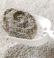 Litière pour chat en bentonite à parfum naturel, hypoallergénique, sans poussière, respectueuse des chats, bonne absorption, sphérique, 5 kg/10 kg