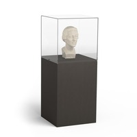 Vitrine d'exposition sur mesure de qualité muséale avec éclairage LED pour bijoux de galerie et objets d'antiquités