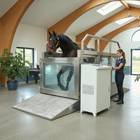 Tapis roulant aquatique pour chevaux