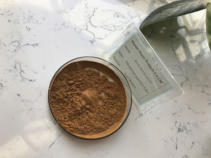 植物抽出物メーカー供給トリテルペノイドサポニン黒コホーシュエキス - Product Image 2