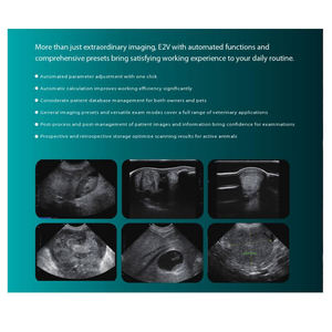 SonoScape E2V – Échographe Doppler Couleur Portable pour Usage Vétérinaire – Système d'Échographie Diagnostique pour Cliniques Vétérinaires – Prix - Product Image 6