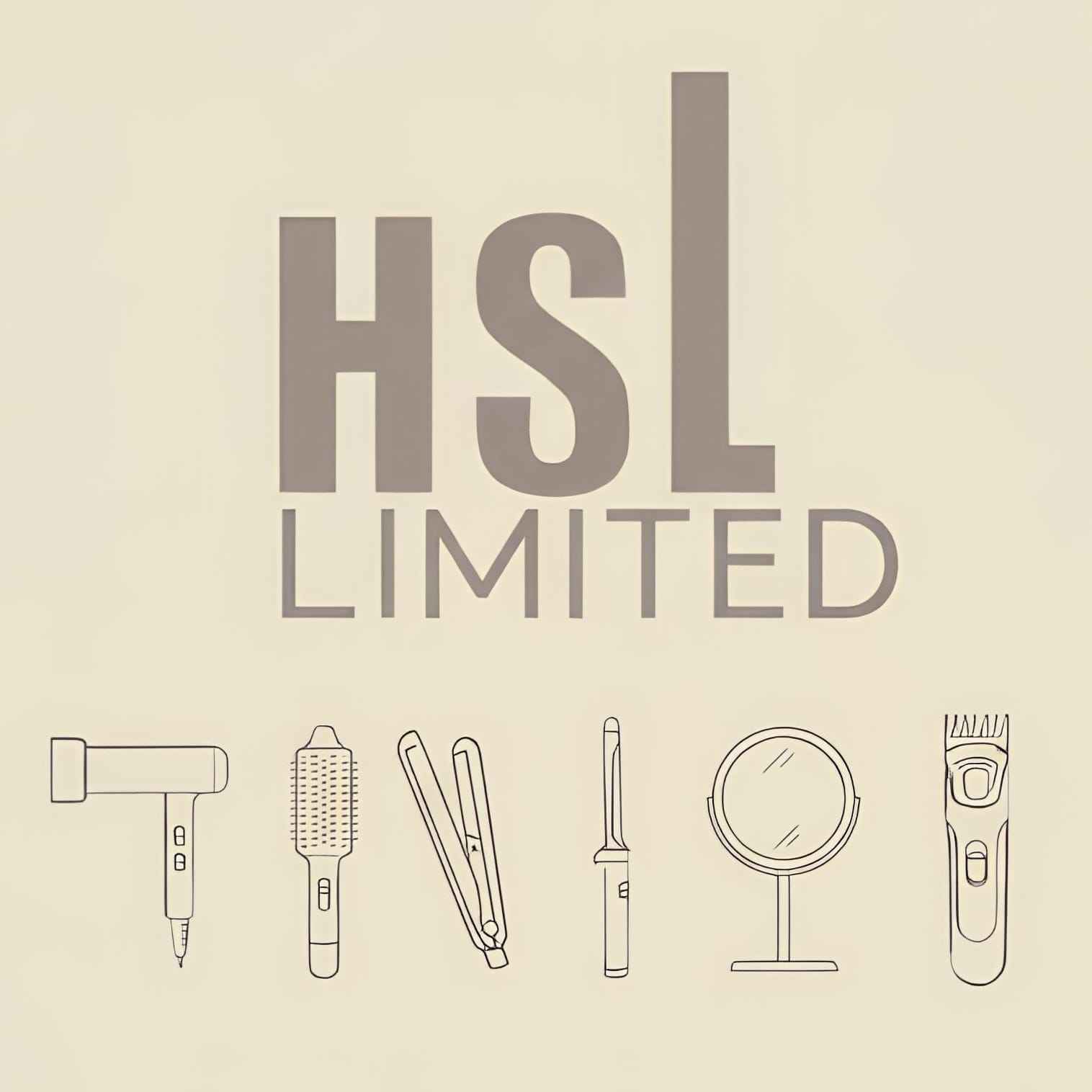 Ningbo HSL Import & Export Co., Ltd. logo