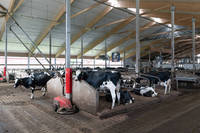 Abri agricole préfabriqué en acier de conception moderne pour l'élevage de chèvres et de moutons à usage agricole