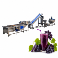 Complete automatische werkende lijn voor het verwerken van vers fruit, sapcentrifugeerlijn, sapproductielijn, sapafvulmachine