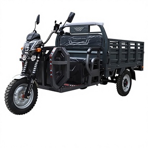 Triciclo de 12V con Carrocería Abierta, Alta Capacidad de Carga 400kg+, Autonomía de 30-50km, Homologación EEC - Product Image 3