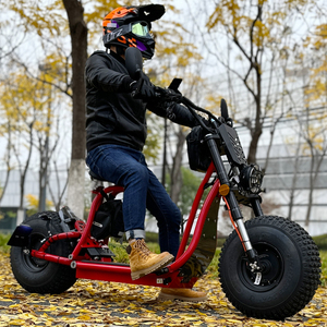 Patinete Eléctrico Citycoco de Gran Venta con Certificación EEC COC, 2000W 3000W, <span class=keywords><strong>E</strong></span>-Chopper Todoterreno para Adultos - Product Image 1