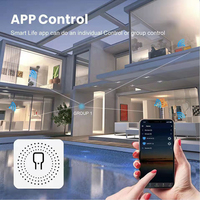Grossiste Tuya 16A Mini interrupteur intelligent 2 voies de contrôle sans fil Zigbee Light Breaker DIY Module de relais pour Alexa Google